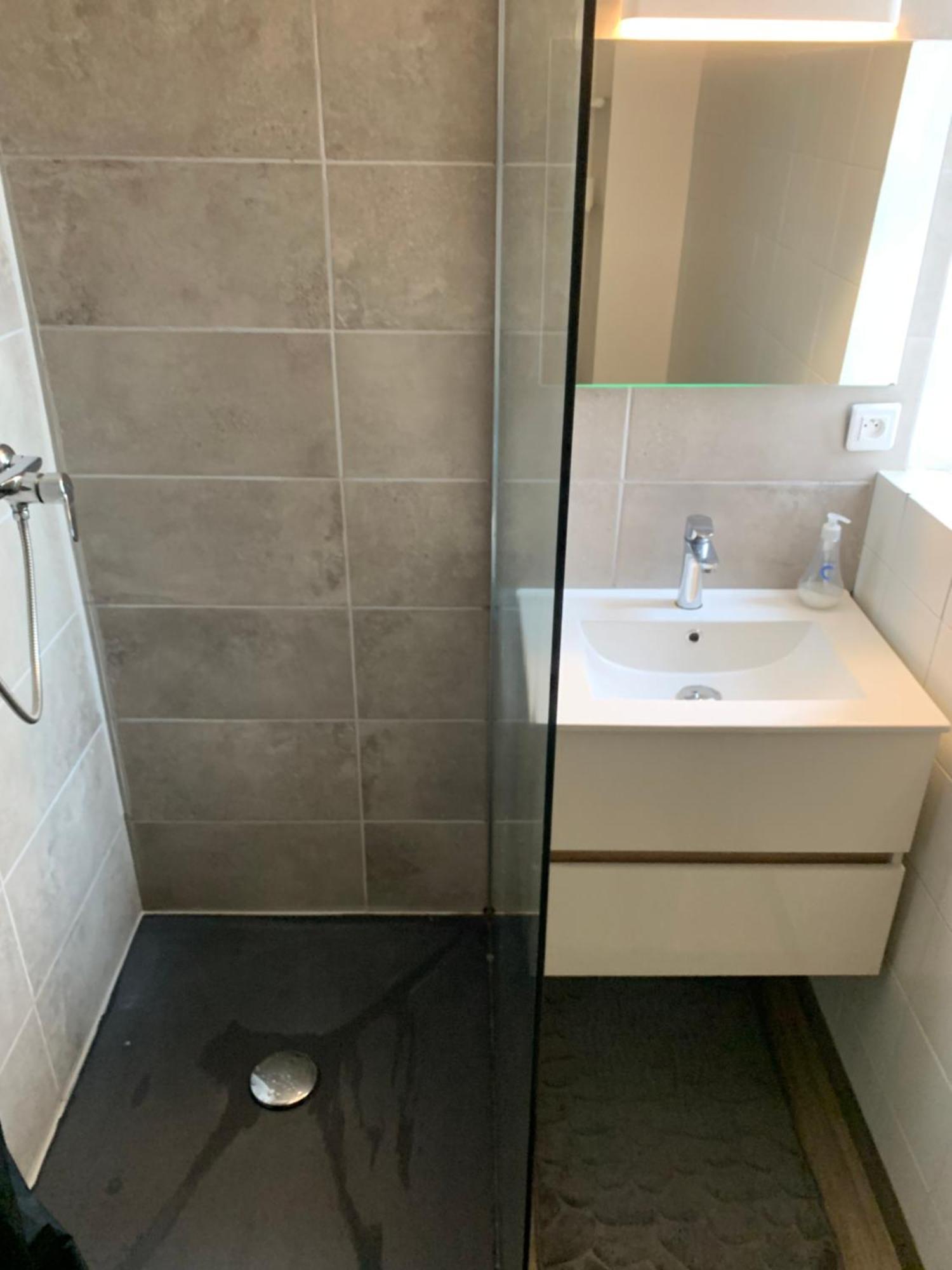 קורטה Joli Appartement 44M2 Centre Ville Corte מראה חיצוני תמונה